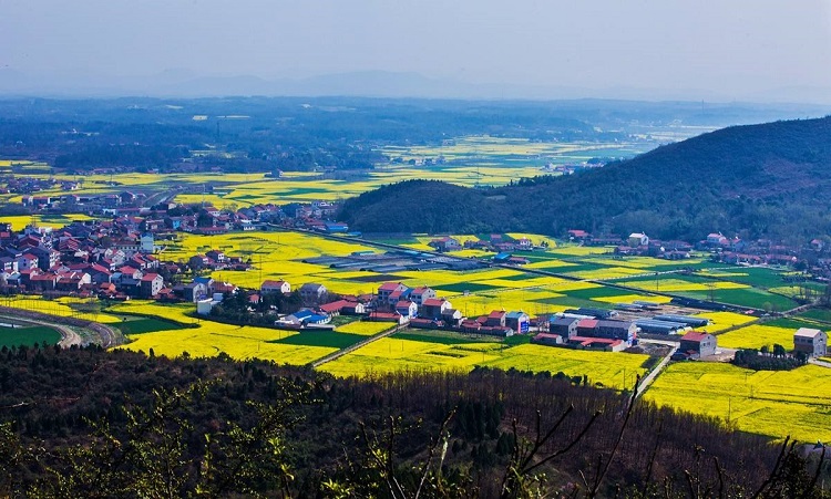 荊門農(nóng)村生活污水治理重點工程