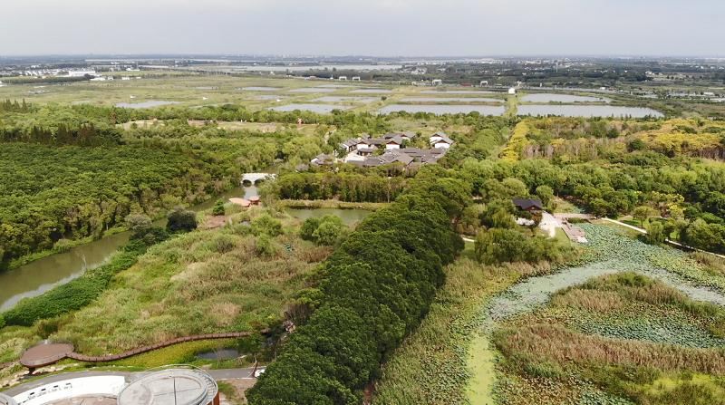 吳江濕地公園航拍